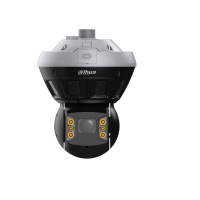 DAHUA DH-PSDW81652S-A360-D440 IP-камера